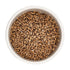 10 lb Golden Promise Brewing Malt for Home Brewing