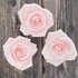 3 Inch, 9 Count Global Sugar Art Peace Rose Sugar Cake Flowers, Pink by Chef Alan Tetreault