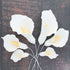 Wired,3 6 Count Global Sugar Art Calla Lily Sugar Cake Flowers White with Yellow, sizes, by Chef Alan Tetreault