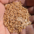 PowerGrow Systems 100% (5 5 Einkorn Wheat Berries - Certified Organic Einkorn Whole Wheat Grain pounds) by (Einkorn