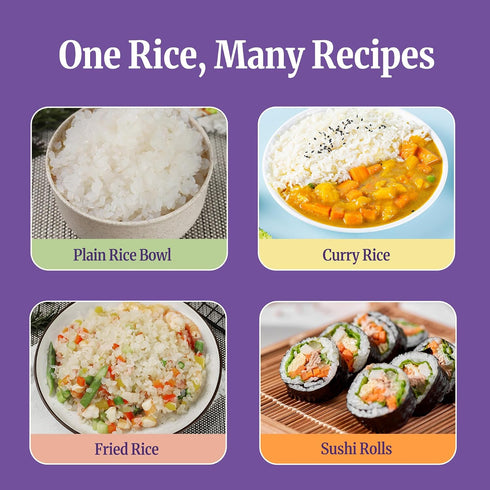 (10 Packs) (6-Pack), Hethstia Dried Konjac Rice & Konjac Noodle Soup Bundle Dried Shirataki Rice with Instant Shirataki