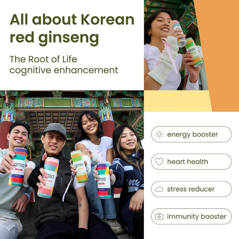 12 Pack 12oz ginsa Sparkling Ginseng Energy Drink with Korean Red Ginseng | Natural Energy Booster | Non-GMO, Supports
