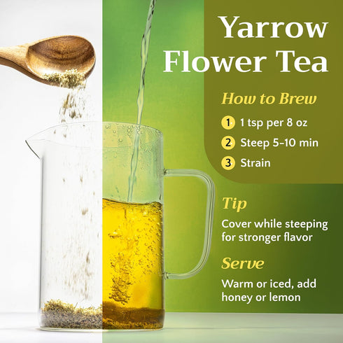 2oz Dried Yarrow Flowers Tea - Natural Yarrow Flower Herb Bulk - Achillea Millefolium Herbs - Loose Leaf Cut