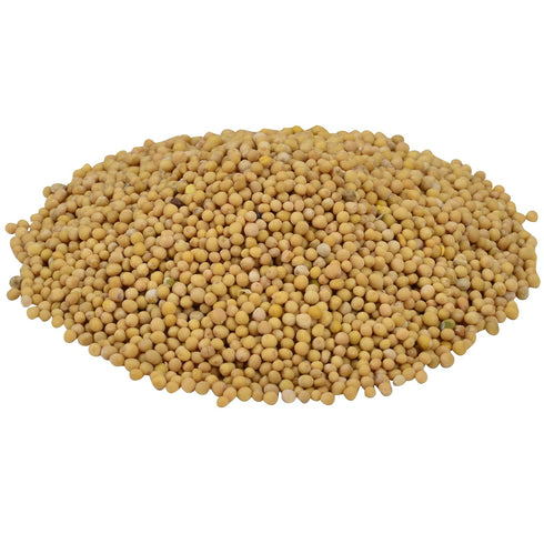 22 oz 22 McCormick Culinary Whole Yellow Mustard Seed, - One Ounce Container of Yellow Mustard Seeds, Perfect