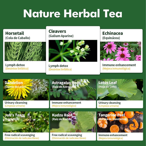 Herbmood Cleavers Lymphatic Drainage Tea Bags, 30 bags Organic Herbal Formula for Detox & Edema Relief