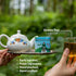 Set, Set 3.35 Oz (Pack 3) Lazika Loose Leaf Tea Black Tea, Green Tea, Earl Grey, Tea Gift for Tea Lovers