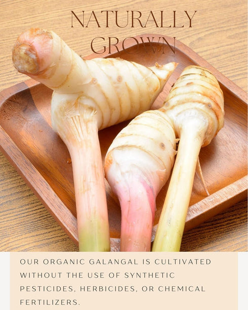 Organic Galangal Powder 4 OZ, Galanga Spice for Asian Cooking - Thai, Indonesian, Malaysian Cuisine