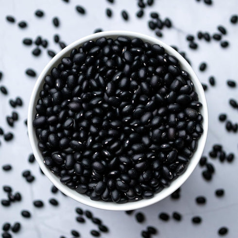 10 High Plains Black Beans | Pound Bag | Farm-fresh Black Beans | Non-GMO Verified | High Protein & Fiber Source | Dry
