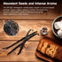 10 Counts SPICEEL Organic Madagascar Vanilla Beans Grade A Vanilla Pods for Making Extract, Whole Vanilla Beans