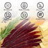 2 oz Angel's Salumi Pre-Sliced Dry-Cured Duck Breast "Prosciutto" Gourmet Artisanal Charcuterie Humanely Raised