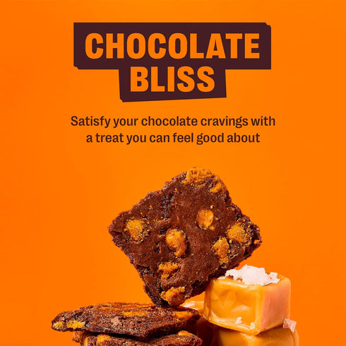 (Pack 1, 14 oz), Brownie Brittle Salted Caramel Thin and Crispy Sweet Snacks of Rich Gourmet Brownie Bites Dessert