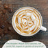 Pack 5-Pack, 12 oz Walden Farms Coffee Creamers Variety - Original, Sweet Cream, Mocha, Hazelnut & French Vanilla Zero