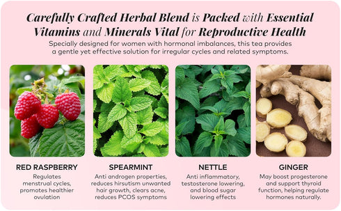 Remedy & Restore 1 Count Herbal Tea for Hormone Balance - Natural Menstrual Cycle Support, Spearmint Flavor, Loose