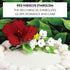 1 Count Global Sugar Art Hibiscus Sugar Cake Flowers Spray Cake Topper Red Hawaiian Cake Flower, by Chef Alan Tetreault