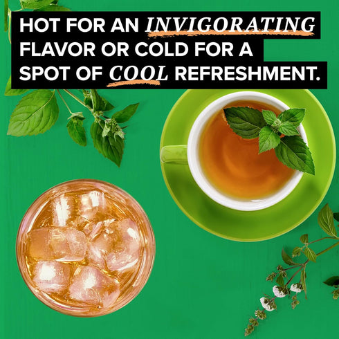 16 TAZO Organic Refresh Mint Herbal Tea Bags with Peppermint and Spearmint, Caffeine Free, Total Tea Sachets