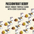 150mg 100mg 12oz 12 Pack Zest Clean Energy Drink Passionfruit Berry Caffeine + L-Theanine Natural Focus & Concentration