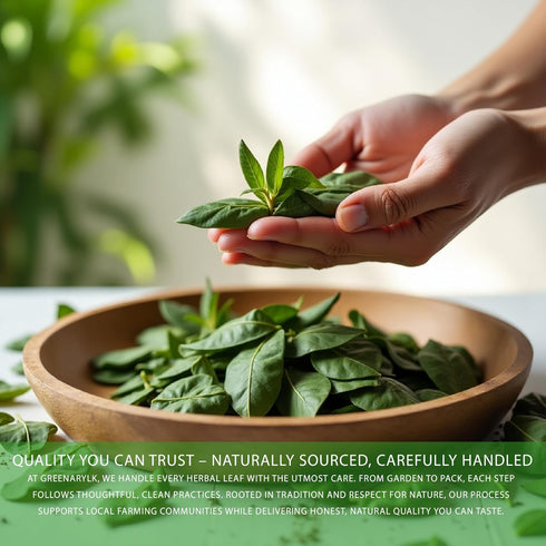 GreenaryLK 1 oz Dried Turkey Berry Leaves Natural, Sun-Dried, Whole Leaves Culinary & Herbal Tea Ingredient