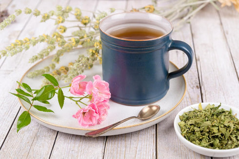 56 Blue Vervain Herb Cut and Sifted - Resealable Bag - grams - Verbena hastata Premium Quality (Blue Vervain Herb)