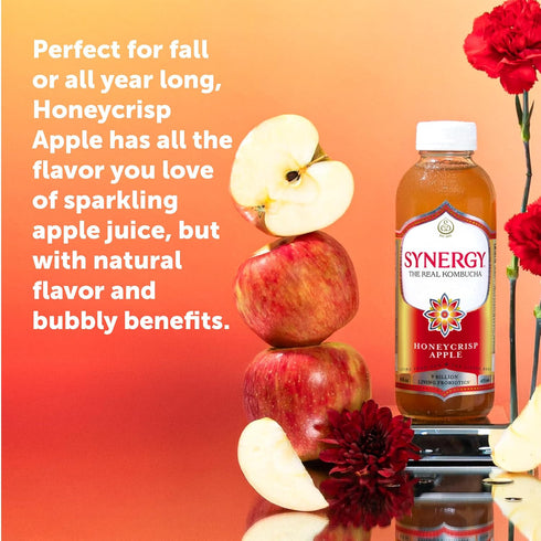 16 oz Immune SYNERGY The Real Kombucha Honeycrisp Apple - fl Bottle - Raw Probiotic Drink for Gut Health and Support