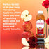 16 oz Immune SYNERGY The Real Kombucha Honeycrisp Apple - fl Bottle - Raw Probiotic Drink for Gut Health and Support