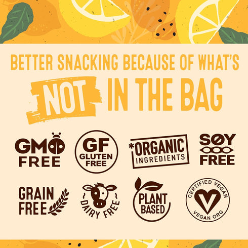 Healing Home Foods 5oz (3Pack) Lemon Chia Graham Crackers, Gluten Free Snacks for Adults, Almond Flour and Organic Chia