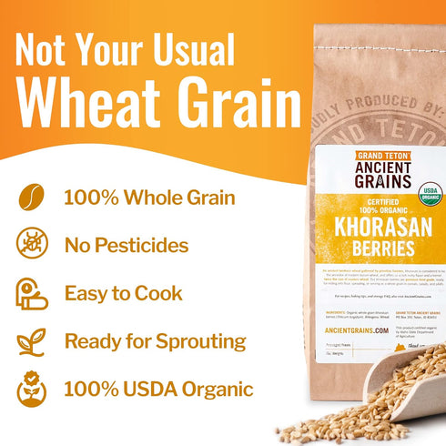 100% 5 lbs Grand Teton - Ancient Grains Khorasan Wheat Berries, Organic Berries, Premium Food-Grade Khorasan Grain