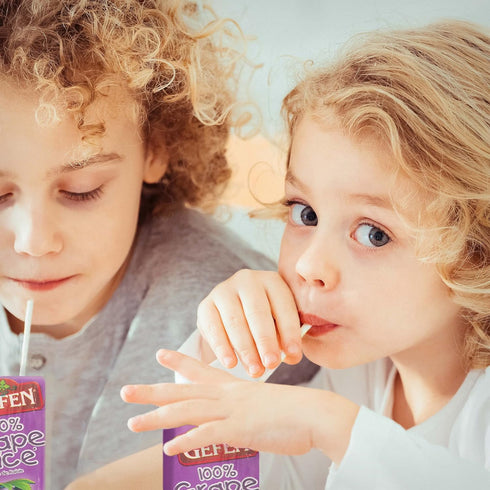 6.75oz (27 Pack) 100% Gefen Grape juice Box Drink, Grape Juice, Tasty & Refreshing, Kosher for Passover, Drinking Straw