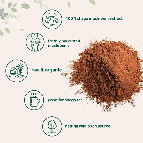 Micro Ingredients Organic Chaga Mushroom Extract, 10 oz | 100:1 Wild Harvested for Tea & Smoothies
