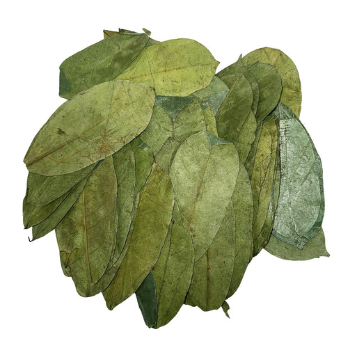 Purelife Herbs 1000 Soursop Leaves Tea, Whole Dried Leaves, Wildcrafted Graviola (Guanabana, Guyabano), Loose Leaf