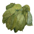 Purelife Herbs 1000 Soursop Leaves Tea, Whole Dried Leaves, Wildcrafted Graviola (Guanabana, Guyabano), Loose Leaf