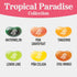 7.5 oz Jelly Belly Tropical Paradise Jelly Bean Collection - Gift Bag - Genuine, Official, Straight from the Source