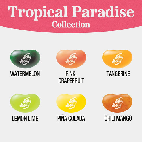 6 oz Jelly Belly Tropical Paradise Jelly Bean Collection - Peg Bag - Genuine, Official, Straight from the Source