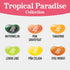 6 oz Jelly Belly Tropical Paradise Jelly Bean Collection - Peg Bag - Genuine, Official, Straight from the Source