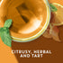 20CT (2ea) Pack) TAZO Tea Bags, Passion & Wild Sweet Orange Herbal Tea (Variety