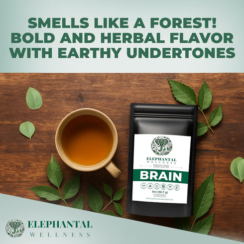 Elephantal Wellness 2oz 20 Premium Brain Herbal Tea | Nootropic Focus & Mental Clarity with Ginkgo, Bacopa, Gotu Kola
