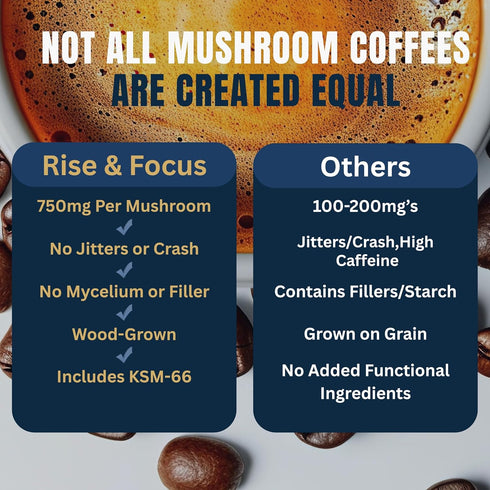 Immunity 1,750mg KSM-66 Monkey Brew Rise & Focus USDA Organic Mushroom Coffee | Boosts Focus, Energy, & Mood |