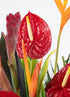 Generic Fresh Orchids and Tropical Flower Bouquet, Red Anthuriums, Red Ginger, Heliconia, Mixed Foliage, Hawaiian
