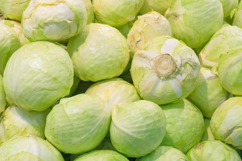 RawJoy Pack 3 Fresh Organic Green Cabbage by Farms