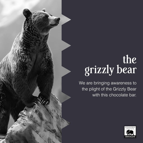 3 oz Endangered Species Chocolate Bar Grizzly Dark Raspberry