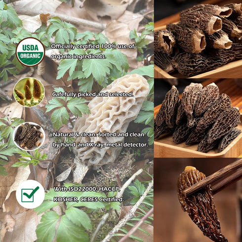 1.5 oz VIGOROUS MOUNTAINS Organic Dried Morel Mushrooms for Cooking, Intact Shapes, Short Stems with Rich Aroma Premium