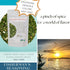 Organic Fisherman's Choice Herb Seasoning - Spice Hut Salt-Free, Savory Spices for Seafood, 1.4oz Pack