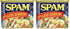 Hormel Foods Spam, 12 Oz Can (Pack of 2)