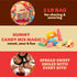 Gummy 2-Pound Gummies Candy Mix | Bag | Peach Rings, Pencil Bites, Neon Worms, Bottles, Belts | Sweet & Sour for Candy