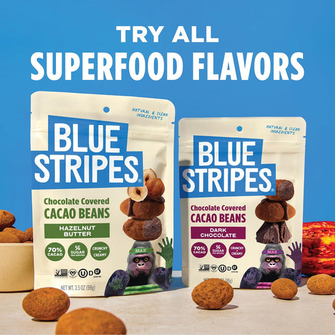70% 5g 4 Pack Blue Stripes - Chocolate Covered Cacao Beans, Hazelnut Butter, Cacao, No Refined Sugar, Gluten Free