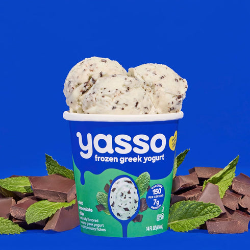 Frozen 14 Oz Yasso Ice Cream Mint Chocolate Chip, Fl