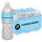 True Clear Purified Drinking Water, 16.9 fl oz Bottles, 24Pack, BPAFree, Recyclable,