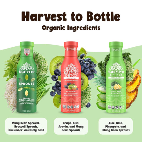 (6 12 oz Karviva Organic Juice Cleanse for Sugar Detox & Weight Control - Ancient Eastern Remedies for Healthy