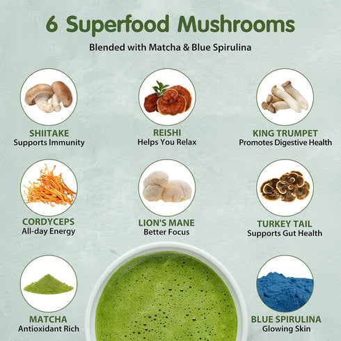 6 Immune 30 Balincer Mushroom Matcha, Adaptogenic Mushrooms (Lion's Mane, Cordyceps, Turkey Tail & Other) Mixed