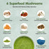 6 Immune 30 Balincer Mushroom Matcha, Adaptogenic Mushrooms (Lion's Mane, Cordyceps, Turkey Tail & Other) Mixed