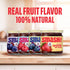 4-Pack Smash Foods Jam | Classics Variety | Low-Calorie, No Sugar Added Keto Jam with Upcycled Fruit & Chia Seeds |